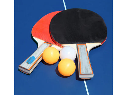 Back Stop 18Mm Table Tennis Table